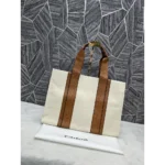 Imported Chloe Canvas Handbag For Women (TZC611) - Accessories | Buy Online at Best Price