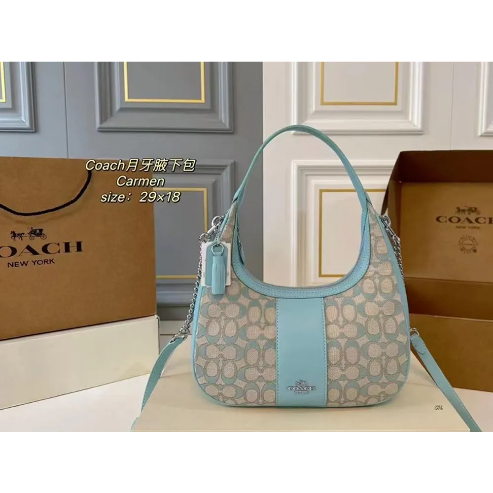Classy Coach Handbag For Women (J1766)