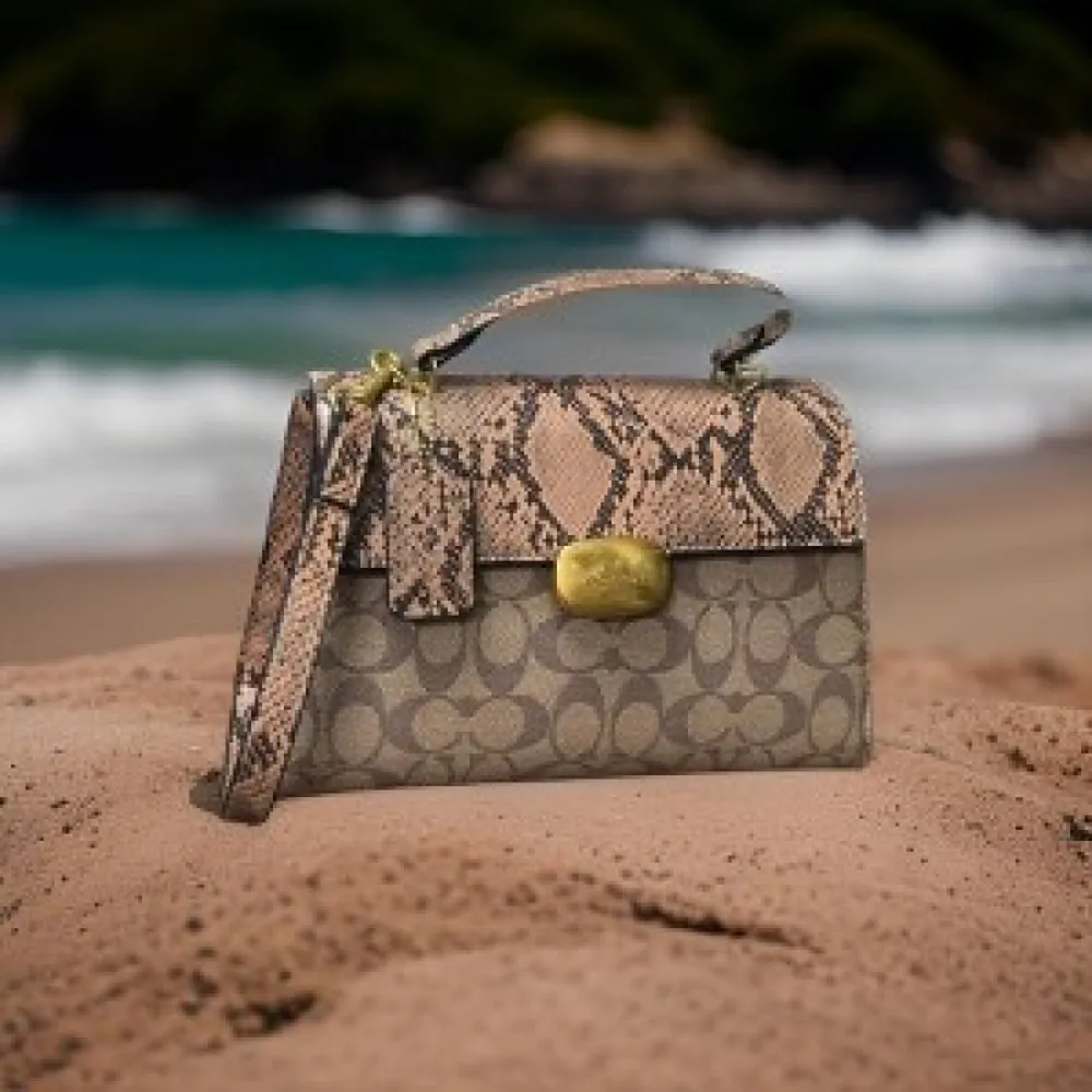 Imported Coach Handbag For Women (TZC612)