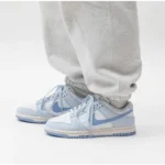 Classy Nike Dunk Low Nature Blue Shoes For Men (SHH07758) - 7a first copy shoes | Buy Online at Best Price