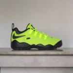 Premium Nike Sb Air Darwin Low Volt Shoes For Men (SW6290) - 7a first copy shoes | Buy Online at Best Price