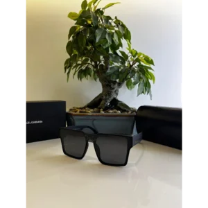 Classy Dolce & Gabbana Sunglasses (SHH4151)
