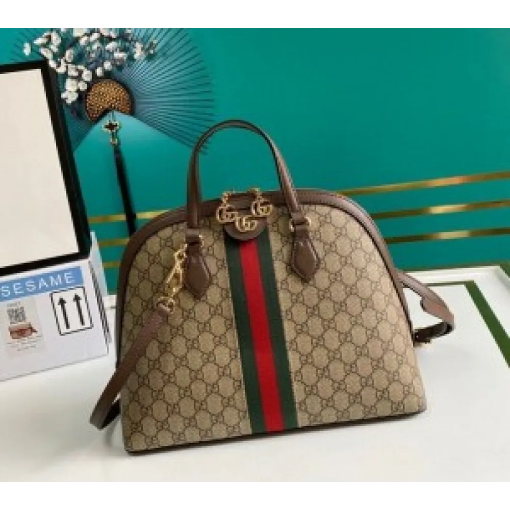 Imported Gucci Handbag For Women (BT241)