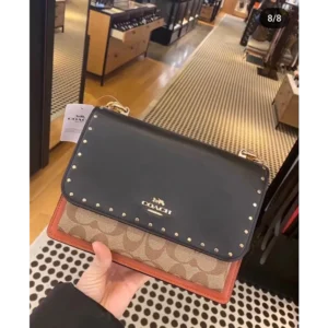 Premium Coach Handbag For Women (FT2580)
