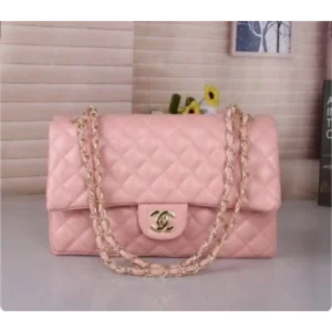 Imported Chanel Handbag For Women (DW129) - Accessories | Buy Online at Best Price