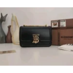 Imported Burberry Handbag For Women (DW130) - Accessories | Buy Online at Best Price