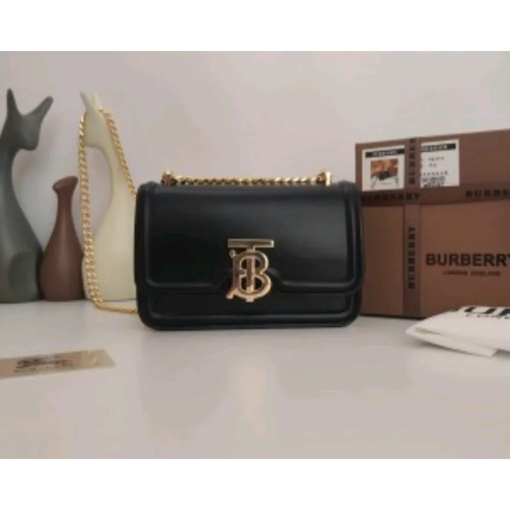Imported Burberry Handbag For Women (DW130)