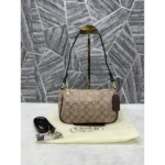 Luxurious Coach Handbag For Women (CSO2168) - Accessories | Buy Online at Best Price
