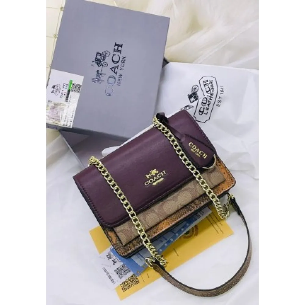 Luxurious Coach Handbag For Women (CSO2269)
