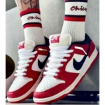 Trendy Nike Sb Dunk Low J Pack Chicago Shoes For Men (CSO4456) - 7a first copy shoes | Buy Online at Best Price