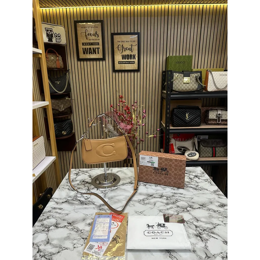 Luxurious Coach Handbag For Women (CSO2272)