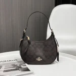 Stylish Coach Handbag For Women (LNL30) - Accessories | Buy Online at Best Price