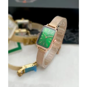 Luxurious Daniel Wellington Watch For Women (BT262)