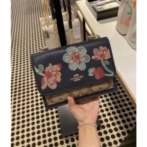 Imported Coach Handbag For Women (DW150)