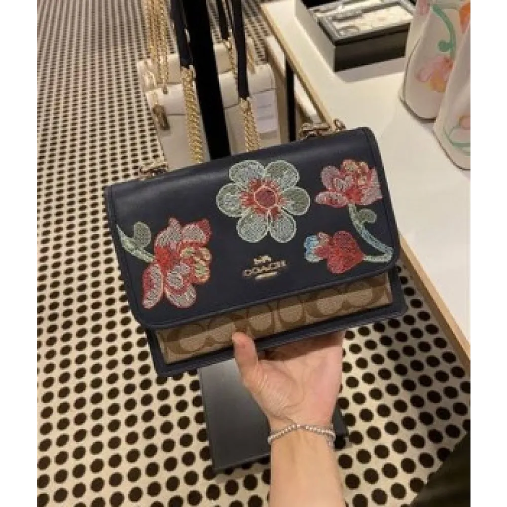 Imported Coach Handbag For Women (DW150)