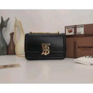 Imported Burberry Handbag For Women (DW151)