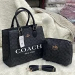 Classic Coach Handbag For Women (LNL09) - Accessories | Buy Online at Best Price