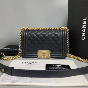 Imported Chanel Handbag For Women (LNL20)