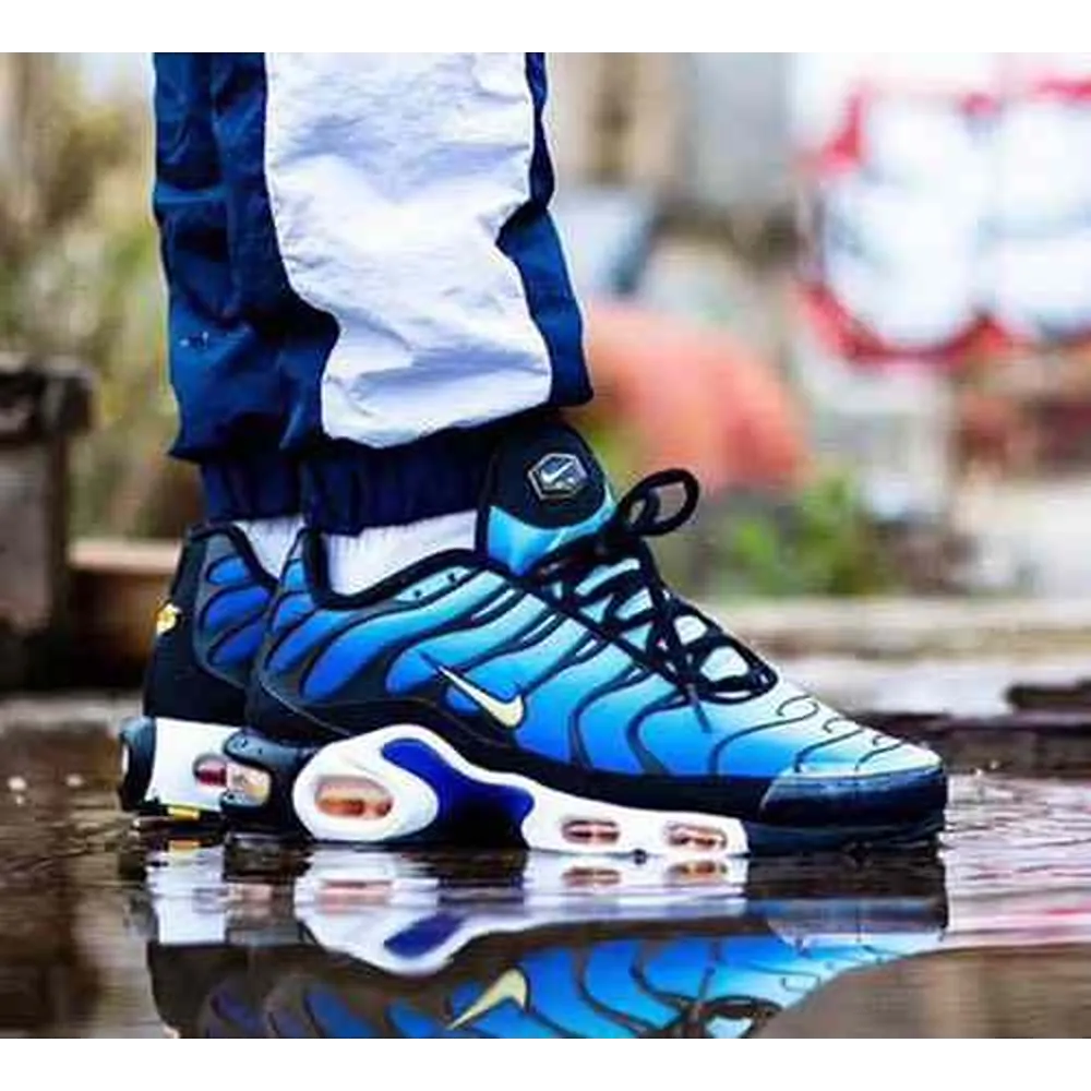 Premium Nike Air Max Pulse Blue Shoes For Men (BME126)