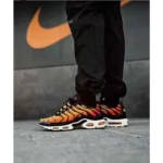 Premium Nike Air Max Plus Shoes For Men (BME149) - 7a first copy shoes | Buy Online at Best Price