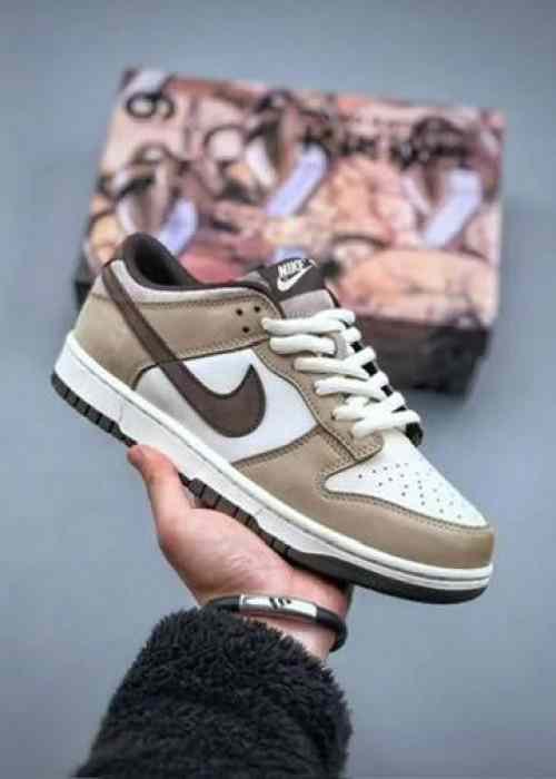 Stylish Nike Sb Dunk Low Brown Swoosh Shoes For Men (BME241)