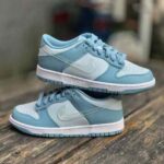 Stylish Nike Dunk Low Retro Qs Blue Clear Aura Shoes For Men (BME242) - 7a first copy shoes | Buy Online at Best Price