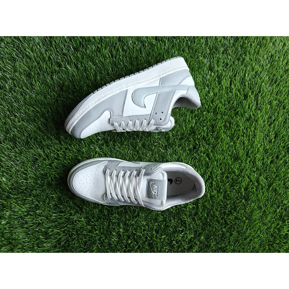 Stylish Nike Dunk Smoky Grey Shoes For Men (CW21)