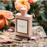 p photo 2024 10 05 17 04 56 17 06 01 487497