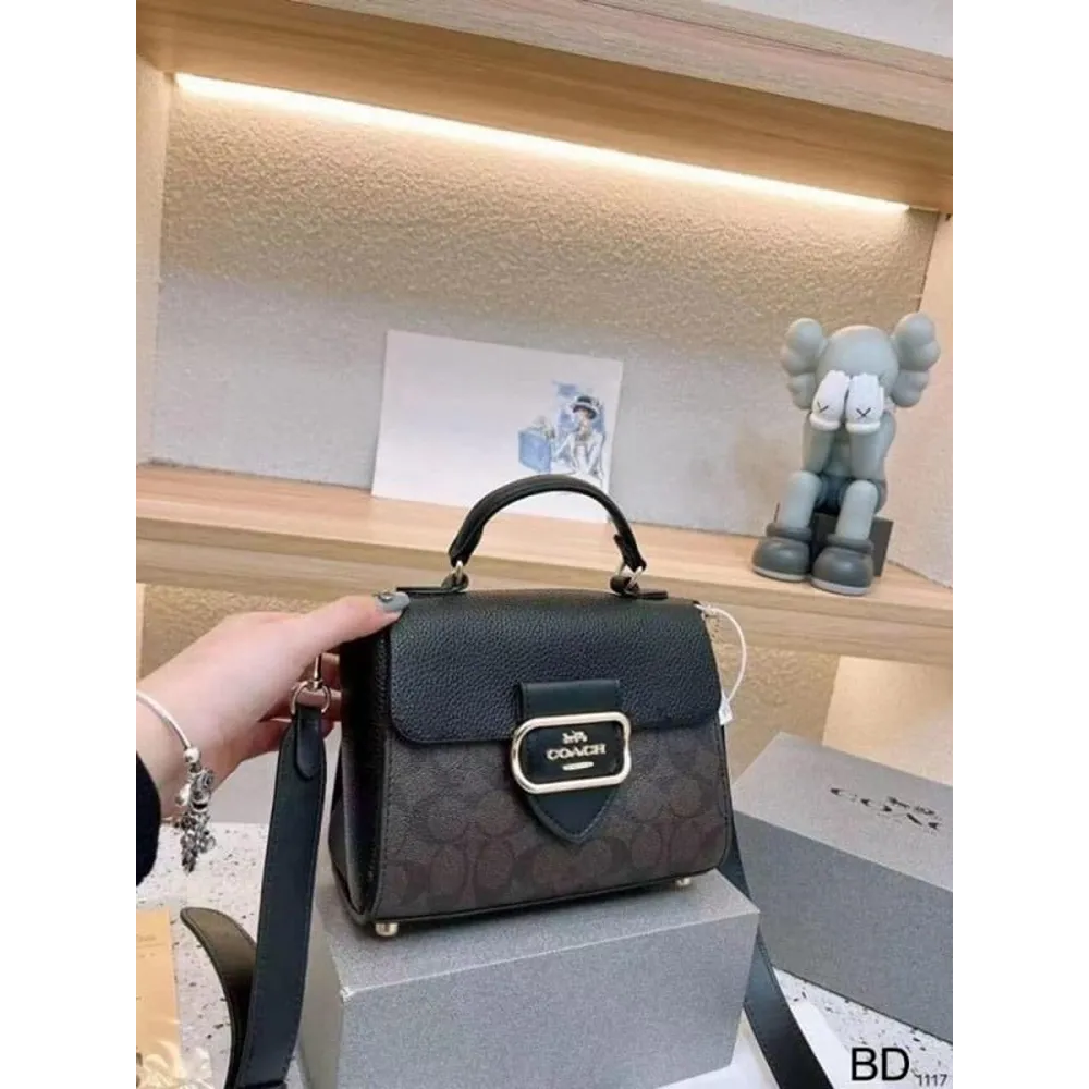 Luxurious Coach Handbag For Women (BSF1699)