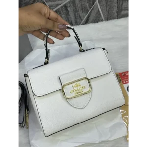 Luxurious Coach Handbag For Women (BSF1702)