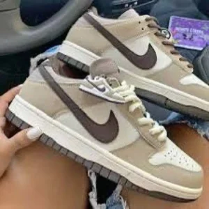 Trendy Nike Sb Dunk Low Brown Swoosh Shoes For Men (FF625)
