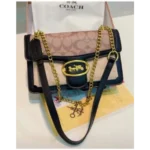 Classy Coach Handbag For Women (SFS1923) - Accessories | Buy Online at Best Price