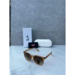 Premium Rayban Sunglasses (SW2107) - Accessories | Buy Online at Best Price