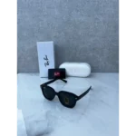 Premium Rayban Sunglasses (SW2117) - Accessories | Buy Online at Best Price