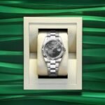 Rolex Premium Oyster Perpetual - Accessories | Buy Online at Best Price